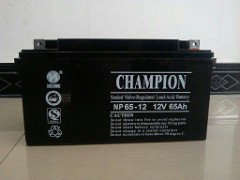 冠军蓄电池12V65AH（储能电池）