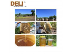 厂家直供纯椴树蜜散装批发纯天然蜂蜜贴牌定做