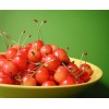 针叶樱桃提取活性物质微生物 祛斑美白抗氧化能力