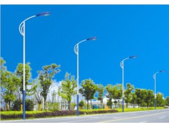 专业生产各种路灯厂家 优质路灯专业制造厂家 路灯专业制造厂家