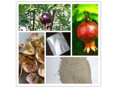 供应石榴皮提取物 40%鞣花酸 保健食品原料