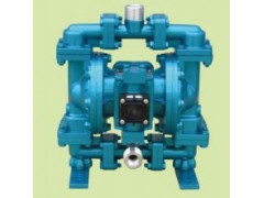 美国斯凯力气动隔膜泵 LS15 AA-AA-SP-PP-SP-00