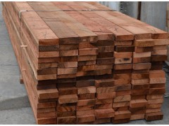 红雪松价格_生产厂家_上海园洲木业有限公司17717030637