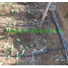 大棚番茄滴灌管/广西钦州灌溉黑管
