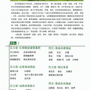 河南省龙灯生物科技有限公司