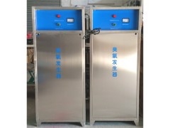 工厂化养殖系统设备30g水冷式一体化臭氧消毒机ATOZ30