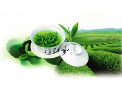 2016第十四届北京茶文化博览会