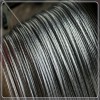 专业生产优质钢绞线  品号种类齐全 提供专业生产定制