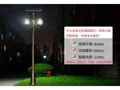 广西新农村建设太阳能庭院灯、新农村建设专用路灯