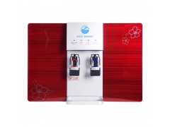 红苹果净水器加热一体机RO反渗透纯水机壁挂家用直饮水机