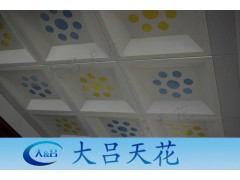 组合天花_广东组合天花板生产厂