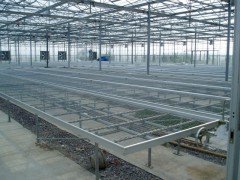 安平厂家专业生产温室苗床  热镀锌网片