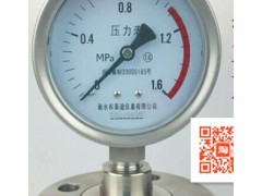 现货供应衡水布莱迪不锈钢隔膜耐震压力表YTNP-100ML