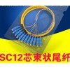 供应12芯束状尾纤SC方头FC圆头单模光纤跳纤电信级