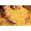 枣阳傲生养殖常年求购玉米麸皮油糠高粱等饲料原料