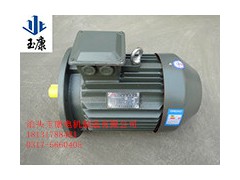 河北沧州Y系列三相异步电动机国标正品电机Y132S
