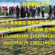 北京新科淡水鱼苗养殖场