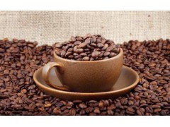青岛代理咖啡进口的货代公司