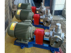 YCB系列不锈钢圆弧齿轮泵参数价格