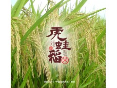 虔农虎蛙稻有机大米农家绿色食品生态富硒大米3kg真空礼盒装新米