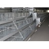 河南鸡笼厂家金兴销售各种优质钢材鸡笼