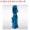 DLS型立式多级多出口离心泵  广州第一水泵厂供应