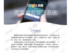 深圳图赢渠道分销系统定制开发
