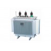 河北国普电力S11-50/10油浸式电力变压器