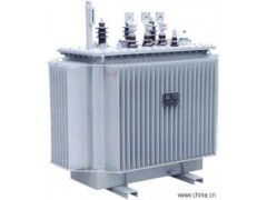国普S13-80油浸式变压器厂家直销