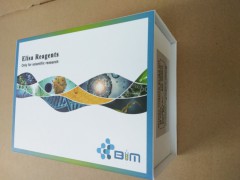 BIM 小鼠1-磷酸鞘氨醇（S1P）ELIS​A​试剂盒