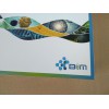 BIM小鼠CXC趋化因子受体2(CXCR2)ELISA试剂盒厂家