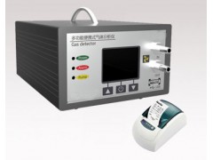 高精度泵吸式便携式二氧化硫检测仪HN-10-SO2