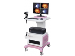 LC-8100C红外乳腺检查仪（单屏）