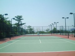 网球场建设-网球的起源现状及将来发展