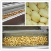 HC系列土豆根薯类毛辊清洗机