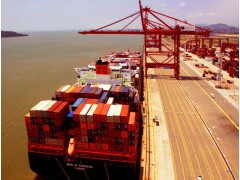 广州、东莞、佛山、中山、惠州到上海集装箱海运船运、海运费查询