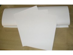深圳PP合成纸厂家生产销售白色PP合成纸|PP合成纸卷膜