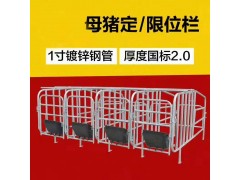 母猪限位栏价格一组限位栏十个位沧州养猪设备厂家批发