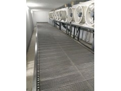 日产5吨速冻水饺隧道输送机