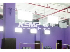 热销 KEMP冠军羽毛球场专用灯、羽毛球专用灯