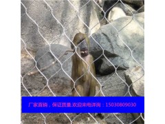 动物园专用不锈钢绳网 江苏不锈钢丝绳网生产商