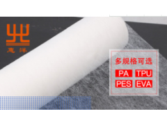 惠洋源头厂家直销 PES耐水洗热熔胶网膜 熔胶网膜