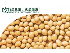 富锦非转基因优质大豆