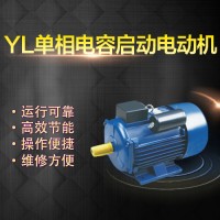 左力YL100L2-2 单相异步电动机3.7kw电机