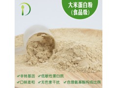 工厂批发 食品级大米蛋白粉 80%含量蛋白粉 低敏性蛋白质