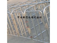 沧州厂家直销养猪设备母猪定位栏