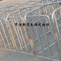 沧州厂家直销养猪设备母猪定位栏