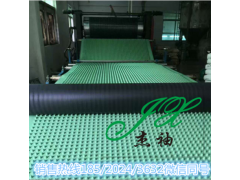 广州惠州疏水板厂家供货 惠东卷材排水板指导施工