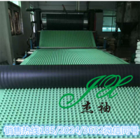 广州惠州疏水板厂家供货 惠东卷材排水板指导施工