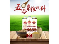 五谷杂粮饮料1L方瓶 8支装饭店加盟杭州